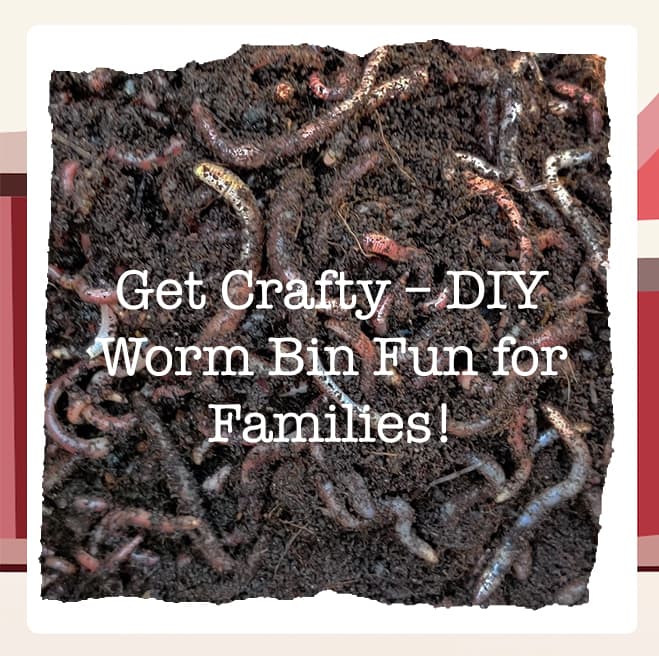 Day 17 of Wiggle-mas: Create Your Own DIY Wormery!