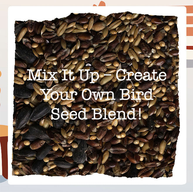 Make Your Own Birdseed Mix at Home: Step-by-Step Guide