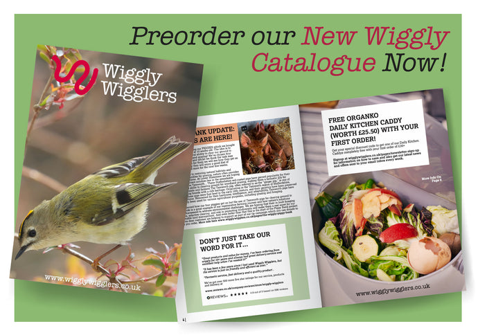 Ready, Set, Wiggle! Our New Wiggly Wigglers Catalogue!