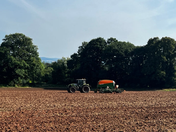 Garden Like a Farmer: Boosting Food, Gut Health, and Soil Vitality