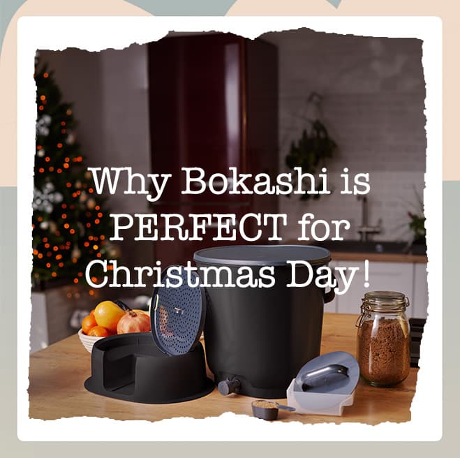 Why Bokashi Composting is Perfect for Christmas (And How the Organko Essential Bin Can Help!)