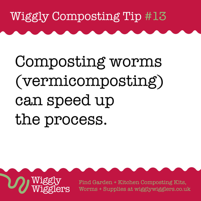 The Benefits of Adding Composting Worms to Your Garden Composter