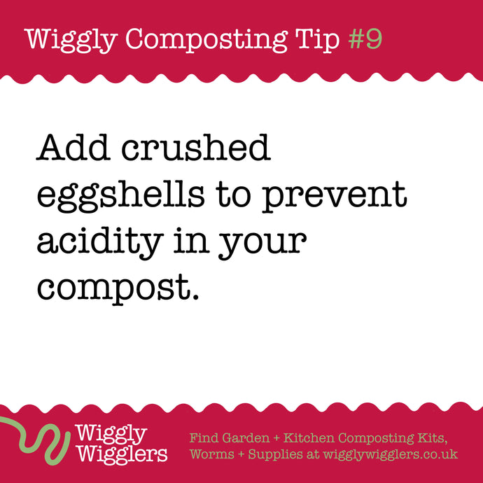 Adding eggshells to your wormery is like giving your worms a little spa treatment!