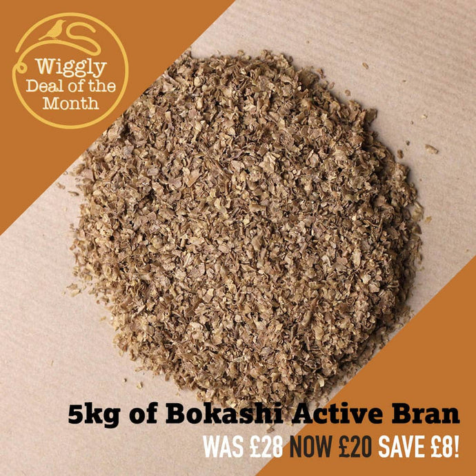 Wiggly Deal of the Month JANUARY 2025 - 5kg of Bokashi Active Bran for £20 (Saving £8)