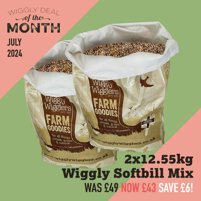 Wiggly Deal of the Month July 2024 - 2x12.55kg Wiggly Softbill Mix for £43 SAVE £6!