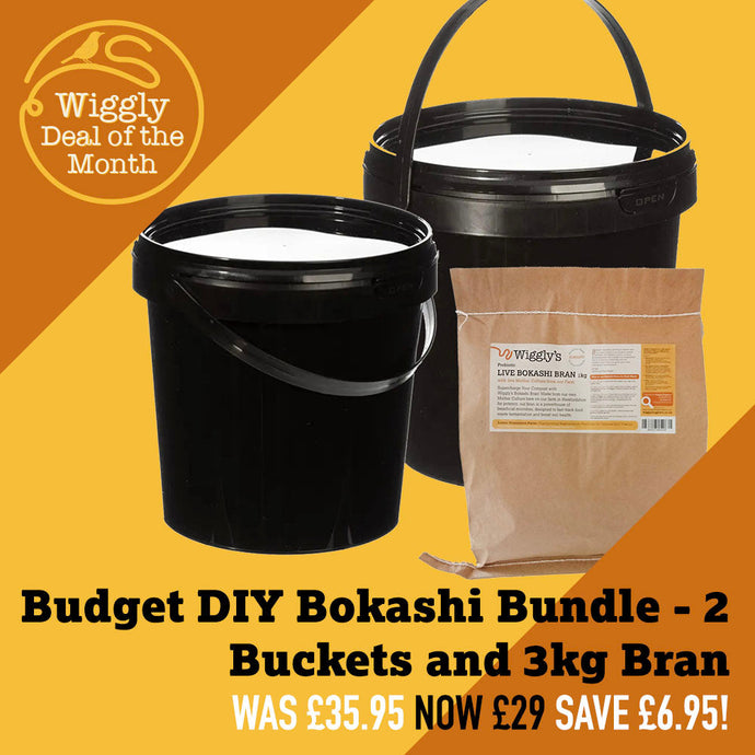 Wiggly Deal of the Month MARCH 2025 - Budget DIY Bokashi Composting Bundle Two Buckets and 3kg Bran - for £29 - saving £6.95!