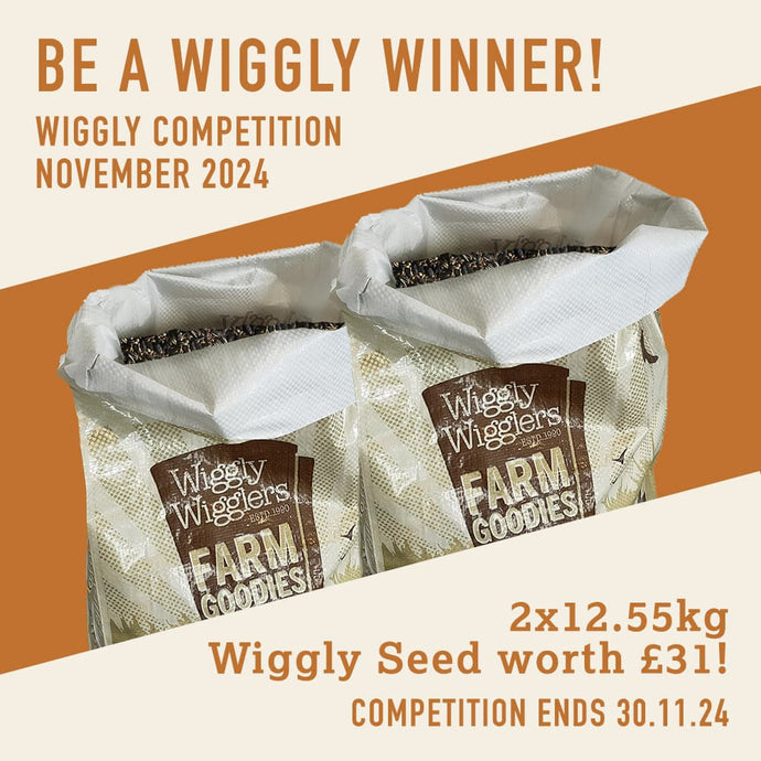 WIN WITH WIGGLY NOVEMBER 2024 – 2x12.55KG WIGGLY SEED MIX - WORTH £31!