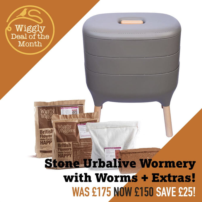 Our Deal of the Month November 2024 - save on our bestselling Stone Urbalive Worm Composters!