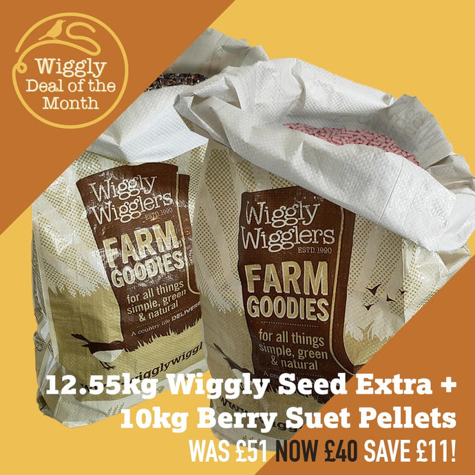 Our Deal of the Month October 2024 - £11 off our bundle of 12.55kg of Wiggly Seed Extra and 10kg of Suet Pellets!