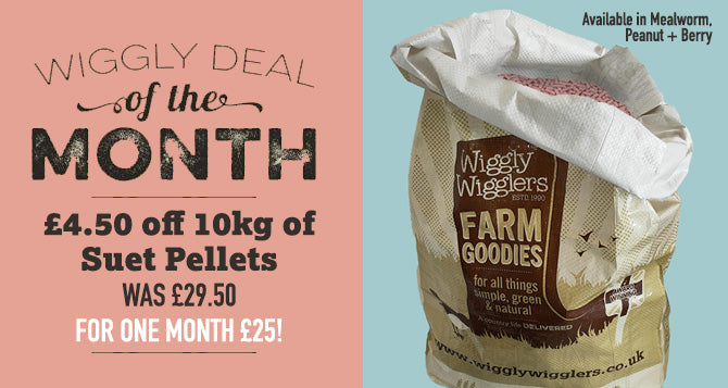 Our Deal of the Month October 2022 - 10kg of Suet Pellets - Just £25, Save £4.50!