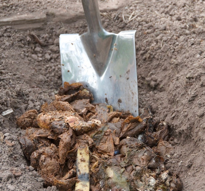 Making BEST use of your finished Fermented Bokashi Compost