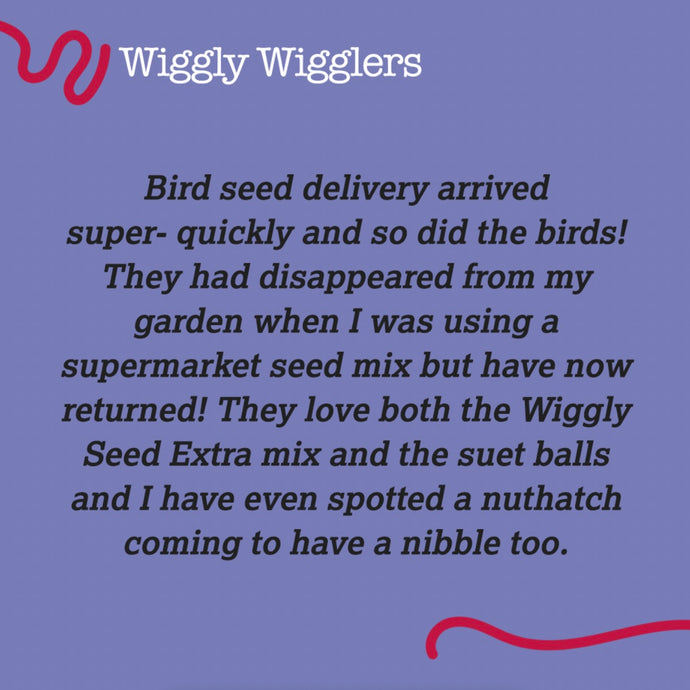 Customers are attracting feathered friends with our Wiggly bird food!