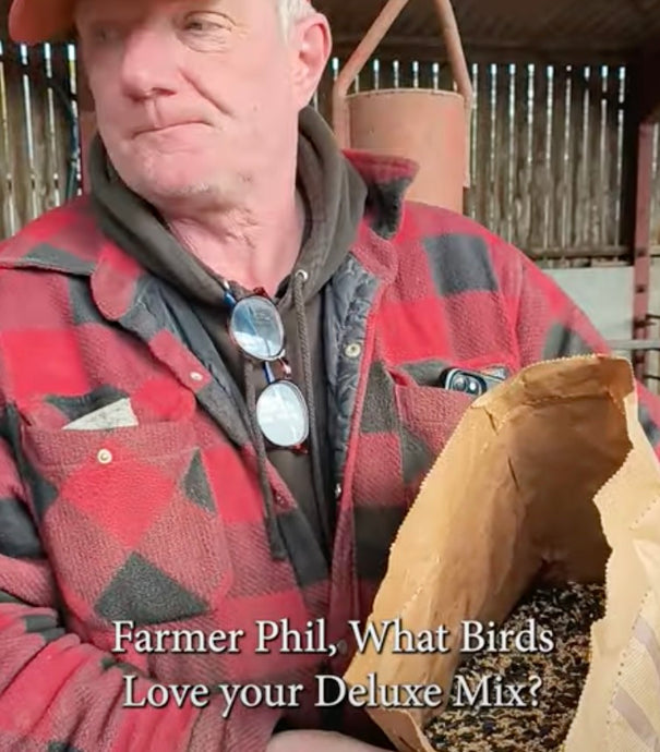 WW Video: What Birds Like Farmer Phil's Deluxe British Mix?