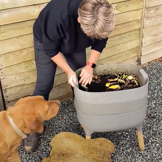 WW Video: The EASIEST way to harvest your worm compost