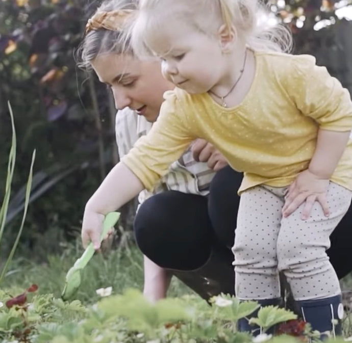 WW Video: Get your kids involved in Birdfeeding and other garden jobs!