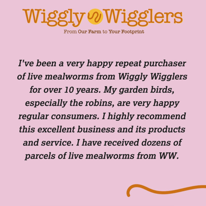 Wonderful Wiggly Customer Feedback!