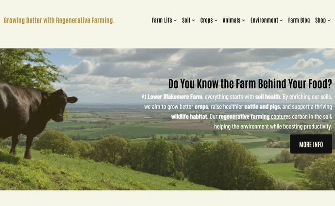 Exciting News from Wiggly Wigglers: Launching Lower Blakemere Farm Website!