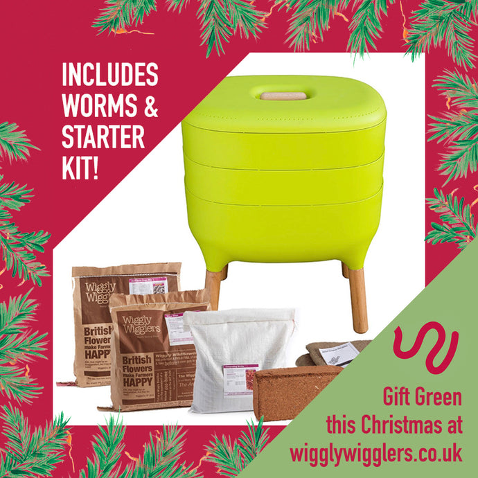 Looking for an amazing eco gift this Christmas?