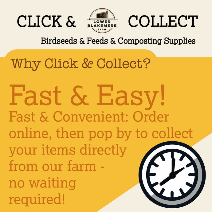 Don't forget to Click & Collect!