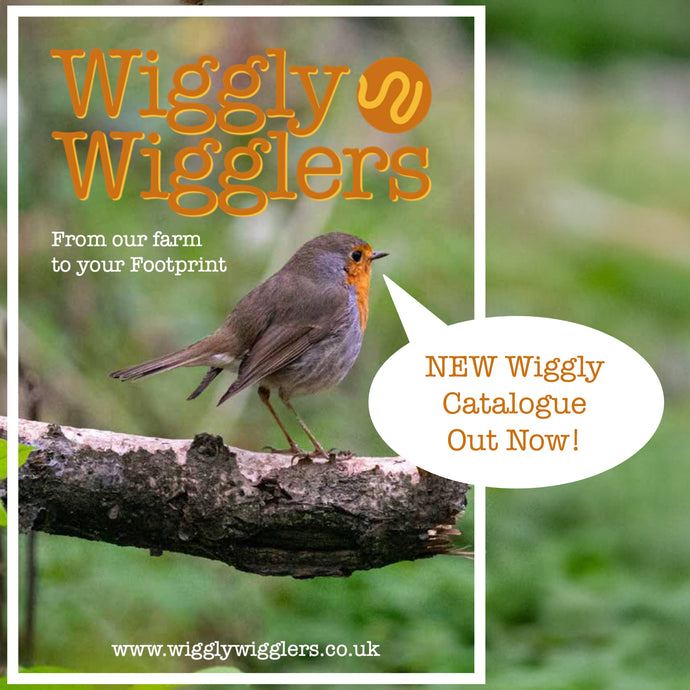 Our New Wiggly Catalogue: Your Ultimate Eco-Gardening Companion!