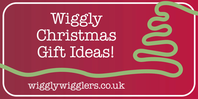 Our Top 5 Other Wiggly Gift Ideas!