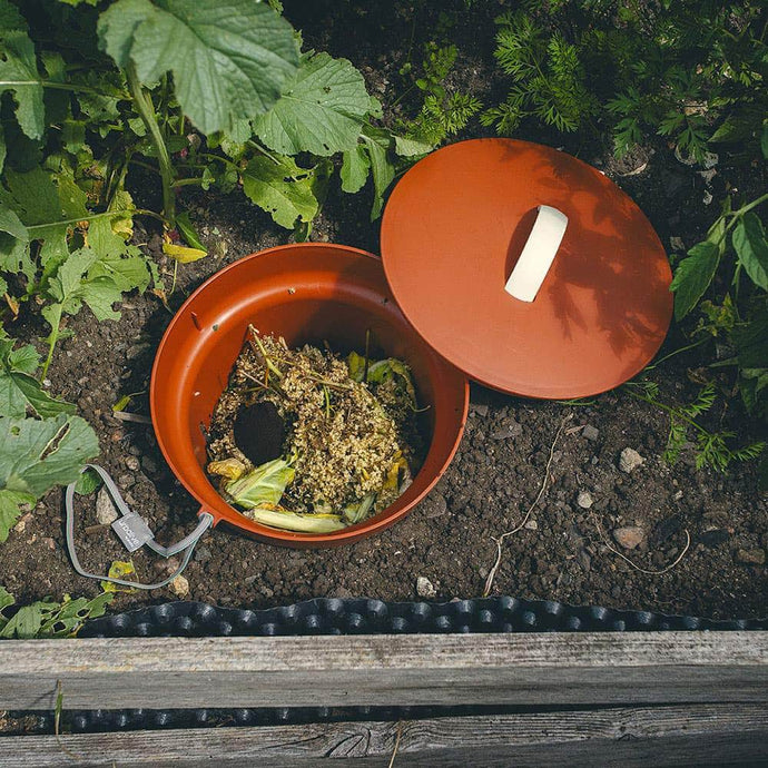 Why Every Gardener Needs an In-Ground Wormery