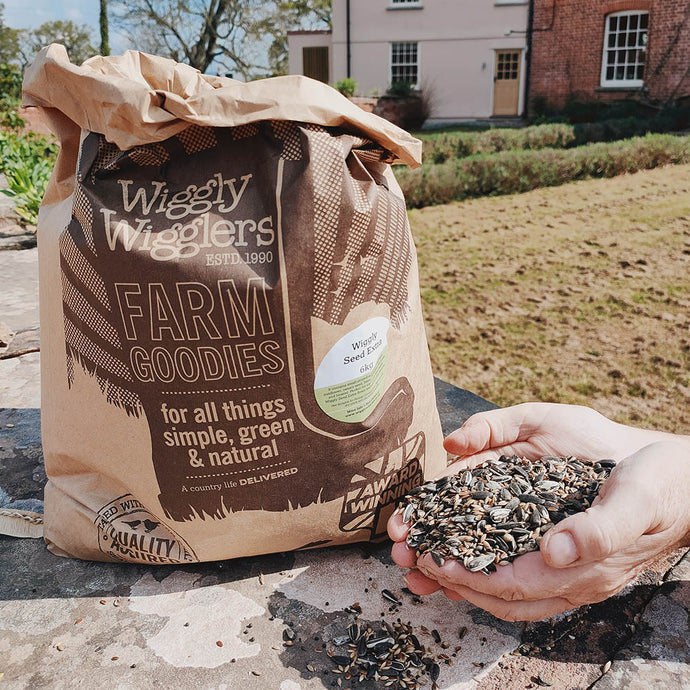 Introducing Wiggly Seed Extra – The Premium, Wheat-Free Mix for Healthy Birds